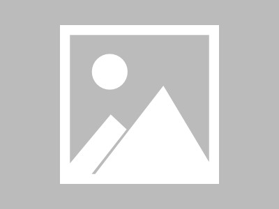 希音物流是中国领先的跨境电商物流公司，专注于连接全球市场的关键力量。